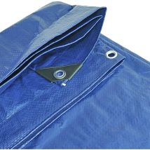 Auto TARP004 5 6M 90GSM Heavy Duty, Leggero, Impermeabile Tela cerata per veicoli, Giardini e progetti di casa - Simply