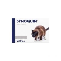 Synoquin Efa - Gatto - 90 capsule - Vetplus