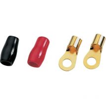 Capocorda ad anello HiFi per auto Kit da 10 6 mm² 8 mm - Sinuslive