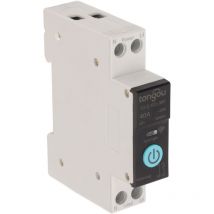 Sjlerst - Disjoncteur sur Rail Din Commutateur wifi Intelligent Télécommande pour Téléphone Portable sans Fil 3 Modes de Synchronisation Fonction