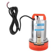 Sjlerst Pompes à Eau dc 12V Pompe Submersible Deep Well Water Pump Irrigation Water Pump for Ranch Farm