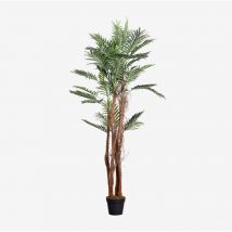 Plante Artificielle Décorative Palmera Design Sklum 180
