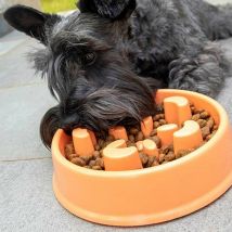 Slowfi : Comedero Anti-Glotones para Perros