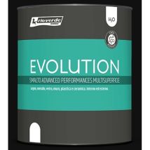 Evolution Grafite