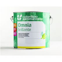Smalto All'Acqua Brillante 'Omnia' Lt. 0,750 Rosso Vivo