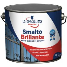 Lo Specialista - smalto solvente brillante marrone LT.2