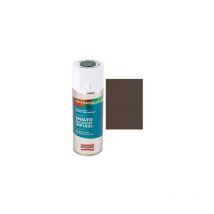 Smalto spray tinta raffaello Arexons