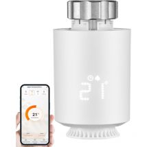 Smartes Thermostat Heizung Zigbee Smartphone steuerbar Heizkörperthermostat Heizungssteuerung Digitales Thermostat Amazon Alexa & Google Assistant