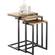 Sobuy - FBT102-F Lot de 3 Tables Basses Gigognes, Set de 3 Tables d'appoint Empilables