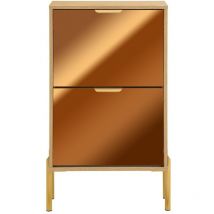 Sobuy - FSR181-G Zapatero con 2 Solapas 55x24x90 cm