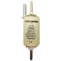 68620250 hrc Sicherung Größe 1 Gl-gG 250A 500V Schlaggerät - Weiß - Socomec