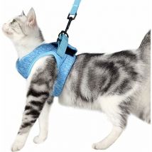 Laisse de chat, laisse de chat attachée, gilet de sangle de chat, chaîne de corde de chien anti-casse,L