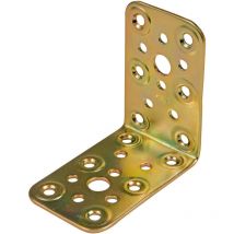 S.of. angle 300-40x50 acier bicromé(s) 12132 Amig