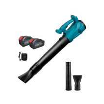 Soffiatore A Batteria Professionale Soffiatore Per Foglie 2 Batterie 6 Velocita'