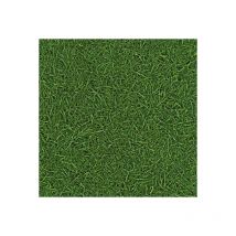 Sol Vinyle Nature - imitation Gazon - Rouleau de 4m x 3m