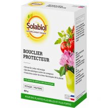 Solabiol - SOCHA400 -Chabasite- Bouclier Protecteur - Etui 400g -Lutte Contre les Maladies & Insectes