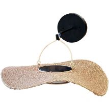 Solar Wandleuchte coralia