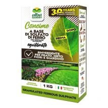 Solfato Di Ferro Granulare Concime Fertilizzante Naturale Biologico, Rinverdente Fogliare e Acidificante Terra per Prato Piante Orto x 1 kg