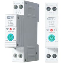 Sollbry - Disjoncteur WiFi din Rail Smart Energy Monitor Meter 1P 63A Disjoncteur Connecté WiFi Commutateur WiFi Intelligent Disjoncteur Domestique,