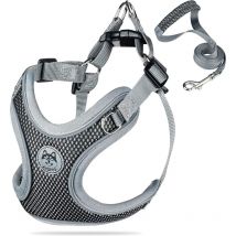 Harnais Chien Harnais Anti Traction pour Chien Harnais pour Chien Petite Rglable Respirant - Sollbry
