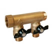 Collecteur sanitaire monobloc m-f 3/4 + mini-vannes 2 départs 1/2