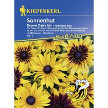Profi-Line Sonnenhut Denver Daisy Mix Rudbeckia hirta, Inhalt ca. 35 Pflanzen Keine Angabe - Kiepenkerl