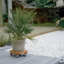 Celloplast - soporte redondo con ruedas madera flora roll nortene 30 cm