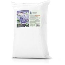 Sorte ko -chagische Hortensias Zahlung 20 kg