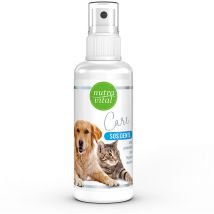 Spray probiotique pour l'hygiène dentaire, 100 ml Nutravital