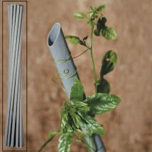 Tutore pvc x piante-vigna d.27x210h