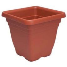 Vaso quadro laurus ICS