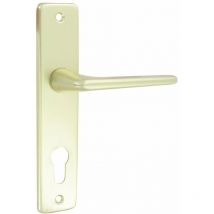 Dt 2000 - Ensemble aluminium anodisé champagne gets clé i - cylindre