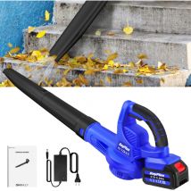 Dayplus - Souffleur de feuilles sans fil Aspirateur de feuilles Souffleur Aspirateur Avec 1 Batterie Et Chargeur