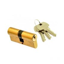 Sparta - Insert de latón wk de wa, modelo 317 Gerda E1 92 41 x 51, ideal para cerraduras de alta seguridad, alta resistencia, protección avanzada