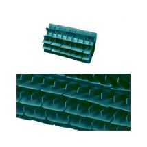 Spazzola Pvc Corta Verde Per Robot Pulitori Piscina Maytronics Dolphin