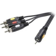 Speaka Professional - Jack / rca Composito av Cavo [1x Spina jack da 2.5 mm - 3x Spina rca] 2.50 m Nero