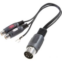 Speaka Professional - SP-7870284 rca / Attacco din Audio Adattatore a y [1x Spina a 5 poli (din) - 2x Presa rca] Nero