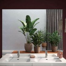 Specchiera rettangolare senza cornice L. 80 x H 75 x P 4 cm