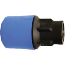 Blue Adapter 25mm x 3/4' Female Ug4502B - John Guest Speedfit