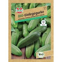 Bio Einlegegurke F1 Gemüsesamen - Sperli