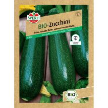 Bio Zucchini F1 Gemüsesamen - Sperli