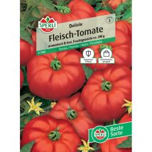 Sperli Fleisch-tomate Delizia F1 Gemüsesamen