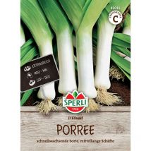 Porree / Herbstporree D ́Elbeuf - Gemüsesamen - Sperli