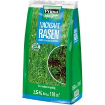 Nachsaatrasen, 2,5 Kg - Prima
