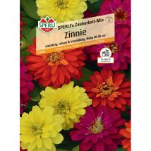 Zinnie 's Zauberball-Mix Gemüsesamen - Sperli