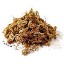 Sphaigne du Chili 250g - Substrat de culture