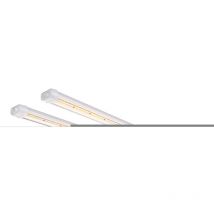 Glow80 led Full Spectrum 80W lampe de semis de légumes d'intérieur - Spider Farmer