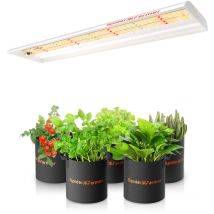 Spider Farmer SF300 33W LED élèvent la lumière pour la fleur végétale de semis