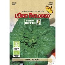 Spinaci Matador – Semi di ortaggi – Ciclo vegetativo precoce, Semina da febbraio a maggio – Sementi Dotto