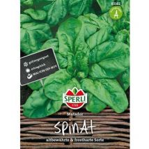 Spinat Matador - Gemüsesamen - Sperli